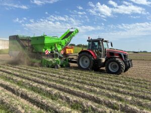 AVR Spirit 9200 Rooier